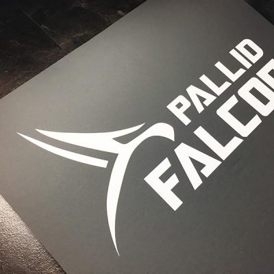 Fitnessmatte Test Pallid Falcon Logo gross
